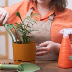 Houseplant Bug Killer